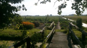 DSC_0205[1]